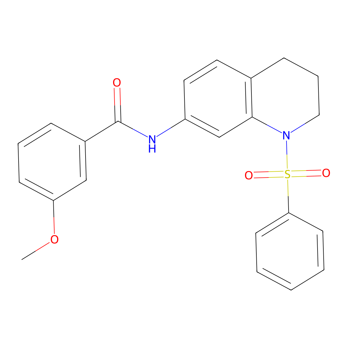 3-methoxy-N-(1-(phenylsulfonyl)-1,2,3,4-tetrahydroquinolin-7-yl)benzamide molecular structure, CAS 1005299-45-5