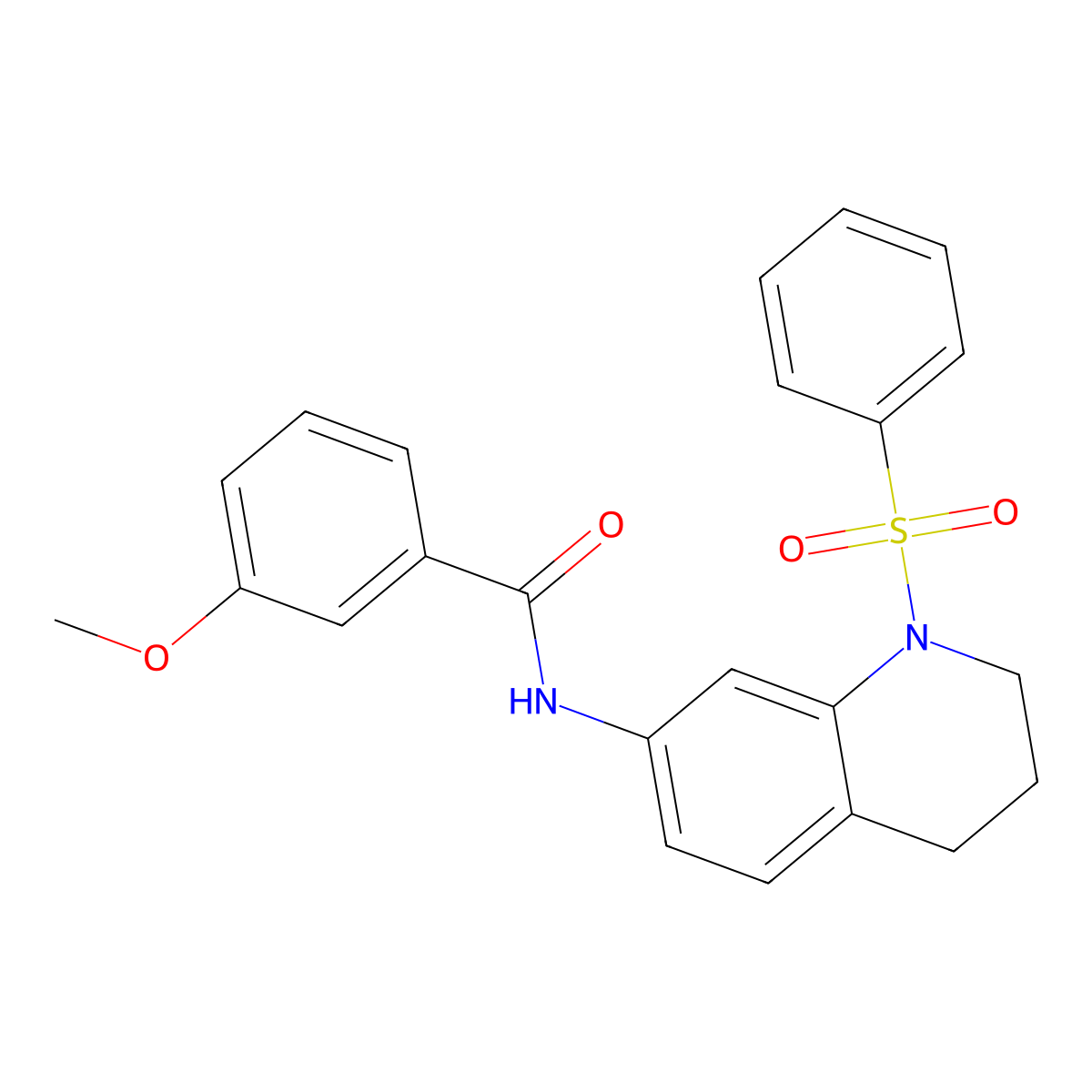 3-methoxy-N-(1-(phenylsulfonyl)-1,2,3,4-tetrahydroquinolin-7-yl)benzamide molecular structure, CAS 1005299-45-5