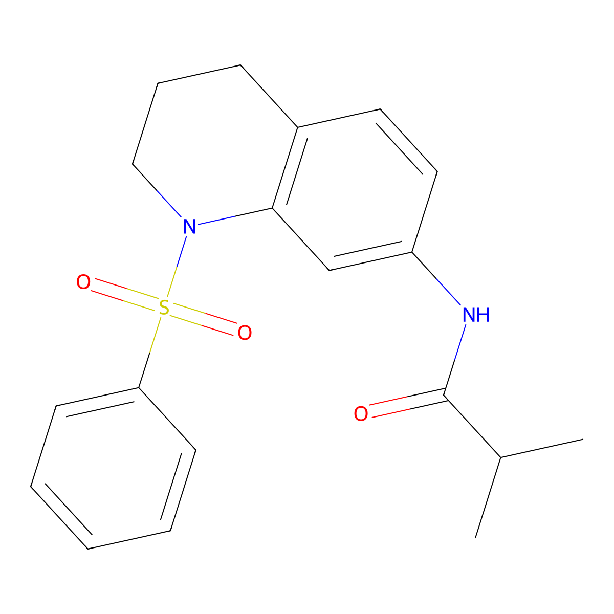 N-(1-(phenylsulfonyl)-1,2,3,4-tetrahydroquinolin-7-yl)isobutyramide molecular structure, CAS 1005299-54-6