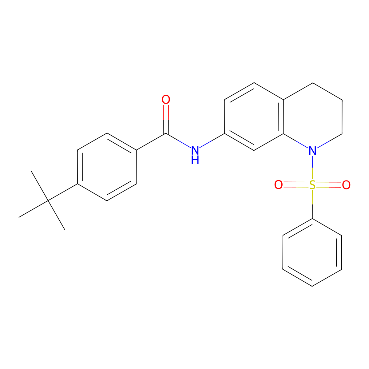4-tert-butyl-N-[1-(phenylsulfonyl)-1,2,3,4-tetrahydroquinolin-7-yl]benzamide molecular structure, CAS 1005299-63-7