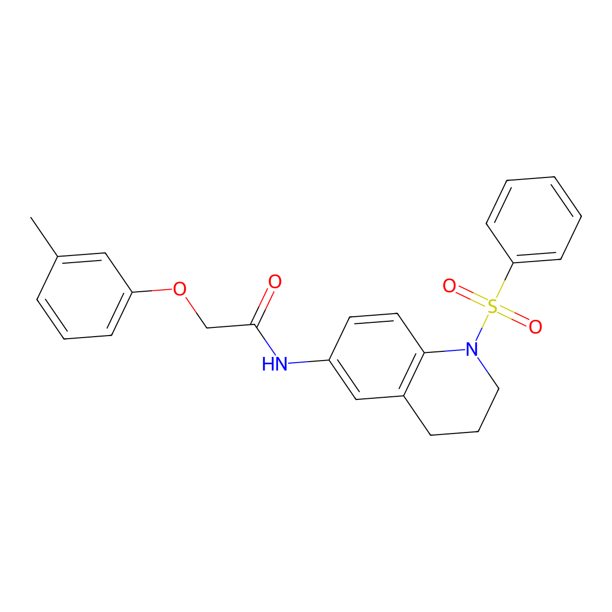 2-(3-methylphenoxy)-N-[1-(phenylsulfonyl)-1,2,3,4-tetrahydroquinolin-6-yl]acetamide molecular structure, CAS 1005300-20-8