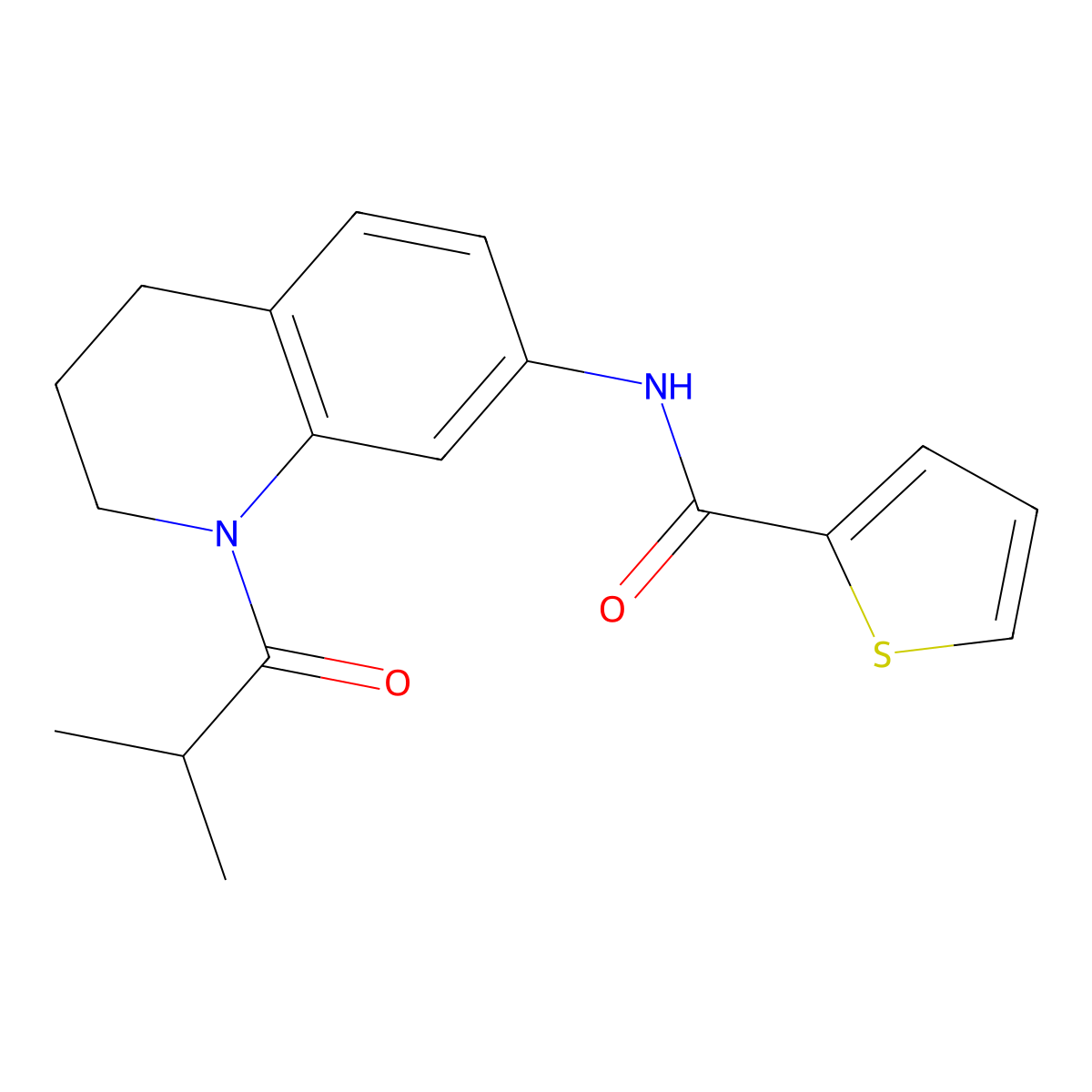 N-(1-isobutyryl-1,2,3,4-tetrahydroquinolin-7-yl)thiophene-2-carboxamide molecular structure, CAS 1005301-40-5