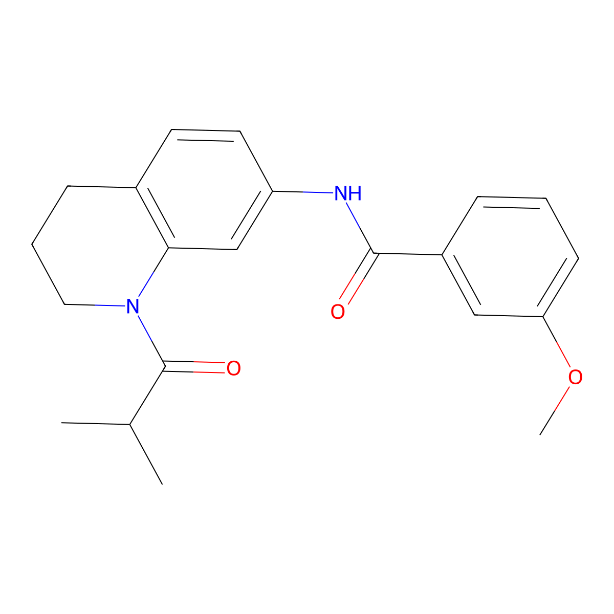 N-(1-isobutyryl-1,2,3,4-tetrahydroquinolin-7-yl)-3-methoxybenzamide molecular structure, CAS 1005301-46-1