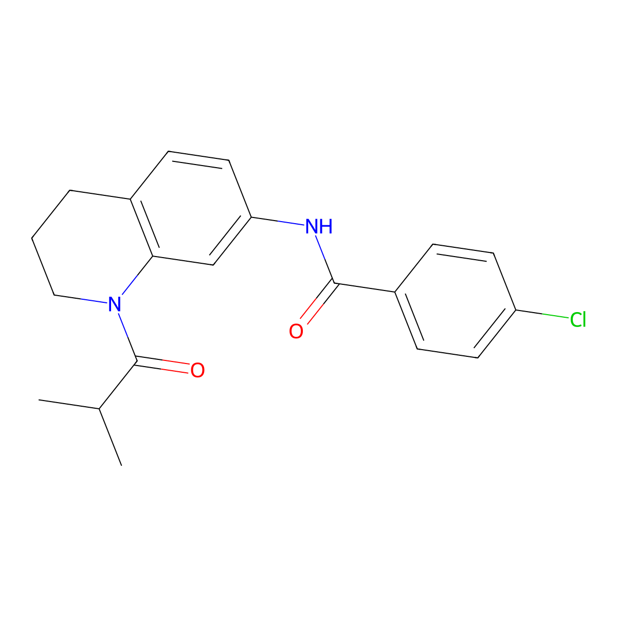 4-chloro-N-(1-isobutyryl-1,2,3,4-tetrahydroquinolin-7-yl)benzamide molecular structure, CAS 1005301-57-4