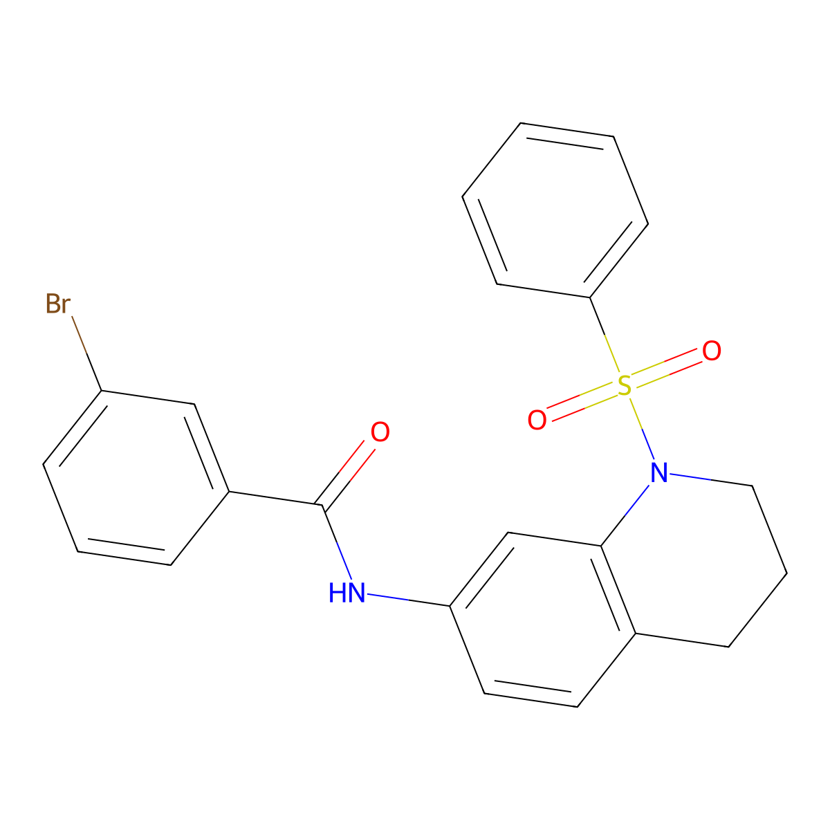 3-bromo-N-(1-(phenylsulfonyl)-1,2,3,4-tetrahydroquinolin-7-yl)benzamide molecular structure, CAS 1005301-59-6