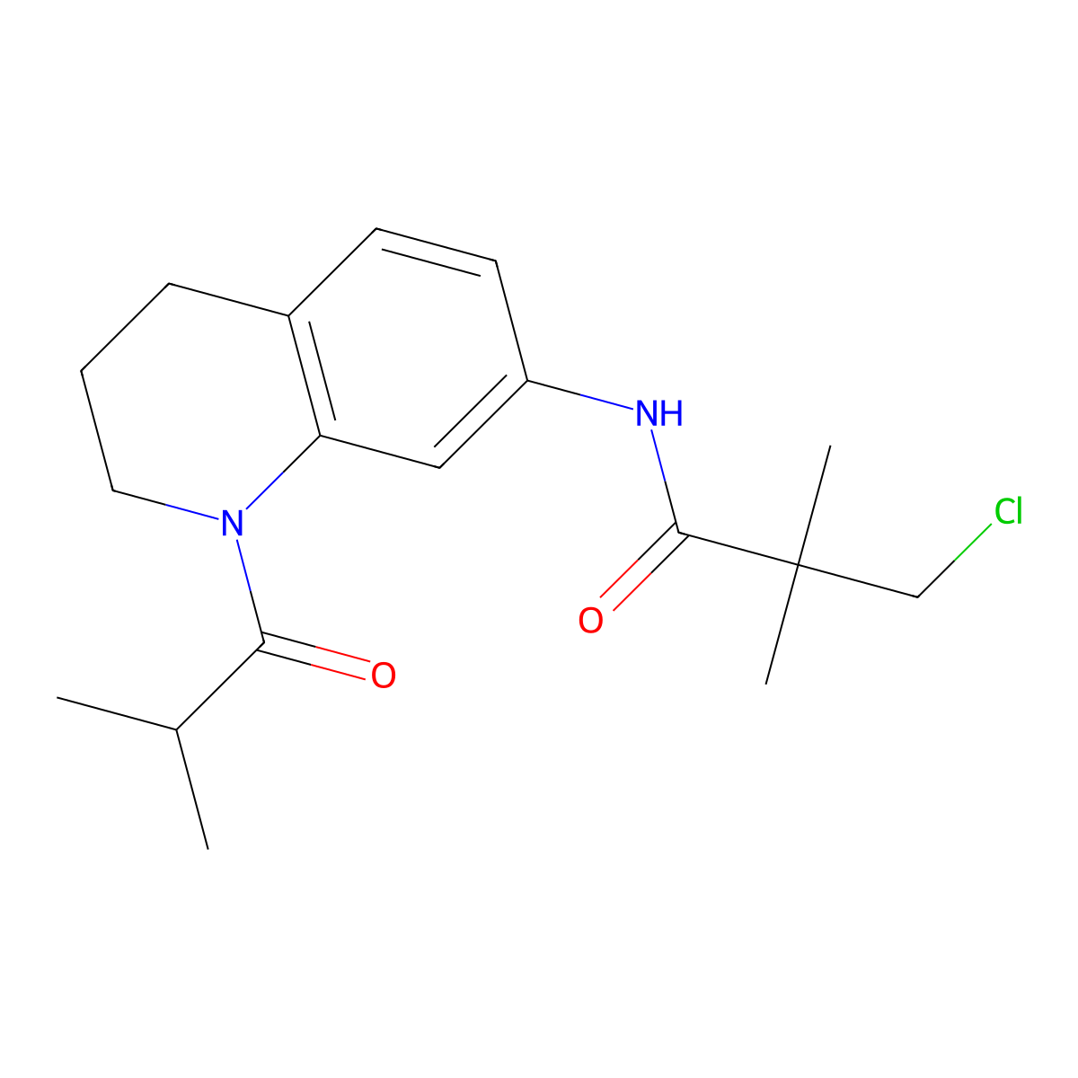 3-chloro-2,2-dimethyl-N-[1-(2-methylpropanoyl)-3,4-dihydro-2H-quinolin-7-yl]propanamide molecular structure, CAS 1005301-71-2