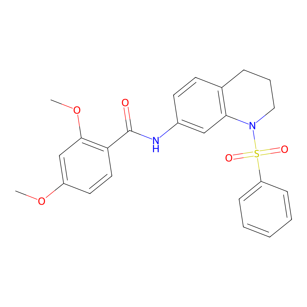 2,4-dimethoxy-N-(1-(phenylsulfonyl)-1,2,3,4-tetrahydroquinolin-7-yl)benzamide molecular structure, CAS 1005301-73-4