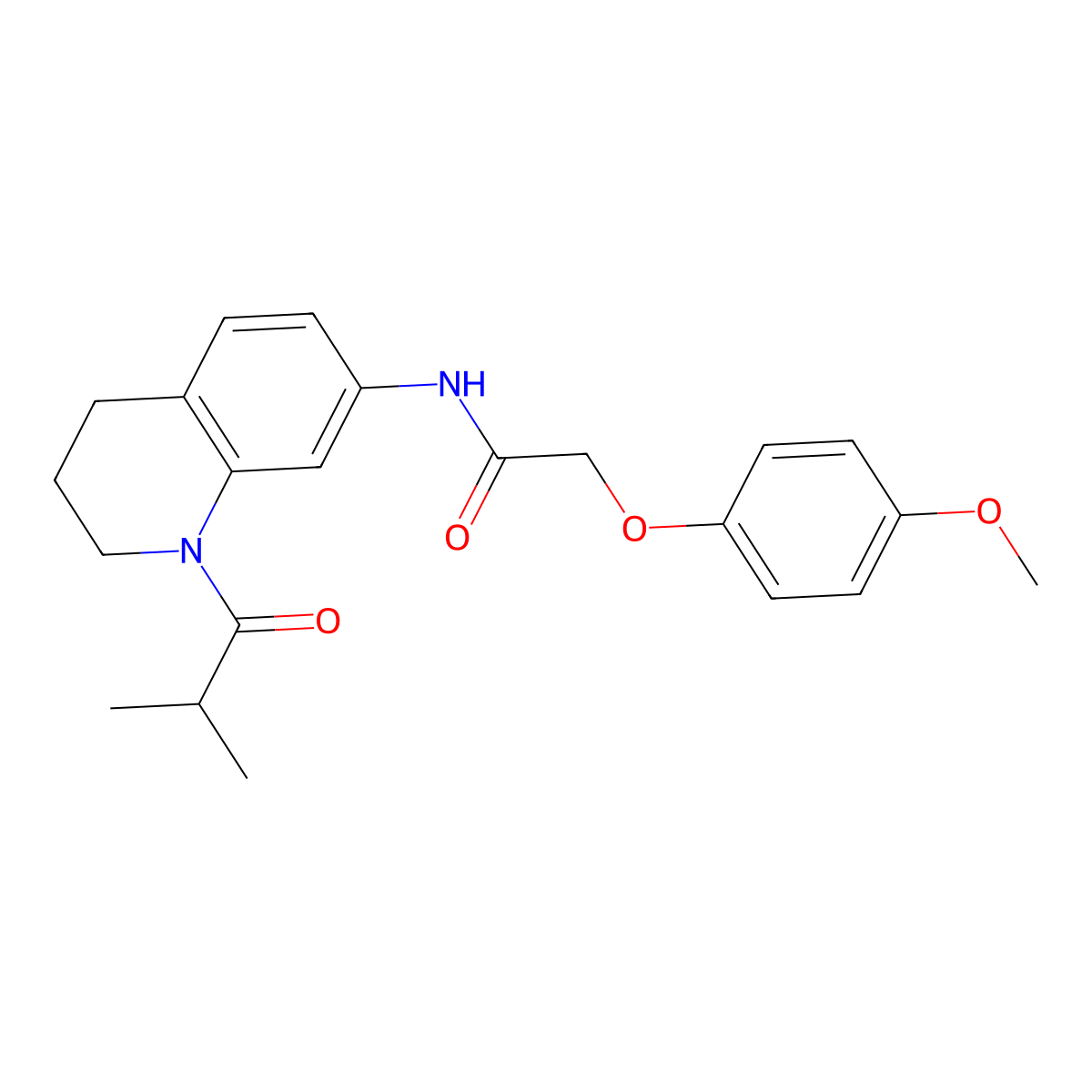 N-(1-isobutyryl-1,2,3,4-tetrahydroquinolin-7-yl)-2-(4-methoxyphenoxy)acetamide molecular structure, CAS 1005301-89-2