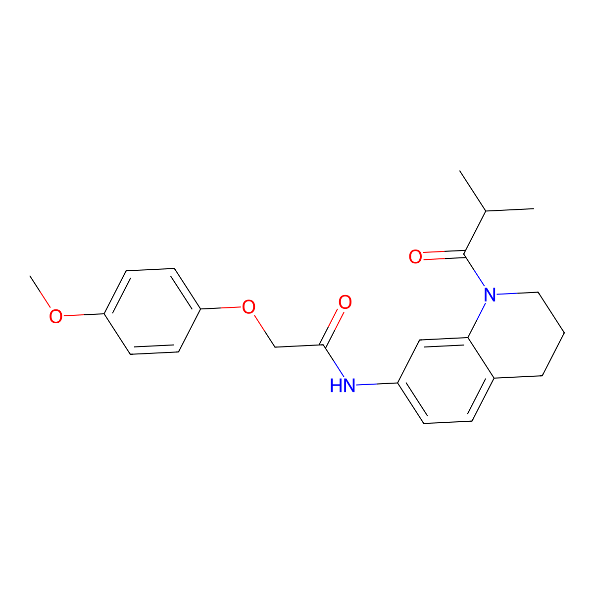 N-(1-isobutyryl-1,2,3,4-tetrahydroquinolin-7-yl)-2-(4-methoxyphenoxy)acetamide molecular structure, CAS 1005301-89-2