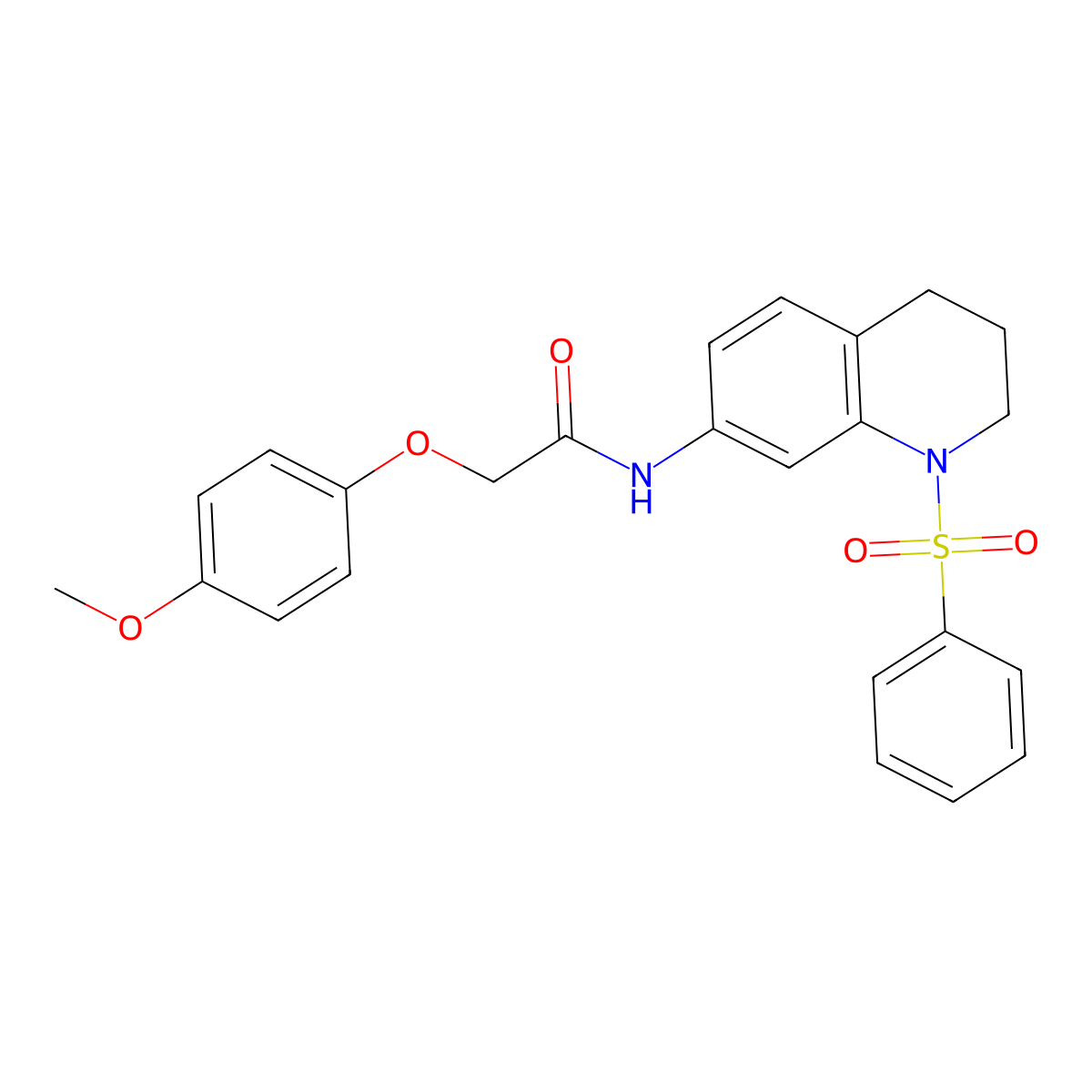 2-(4-methoxyphenoxy)-N-(1-(phenylsulfonyl)-1,2,3,4-tetrahydroquinolin-7-yl)acetamide molecular structure, CAS 1005301-91-6