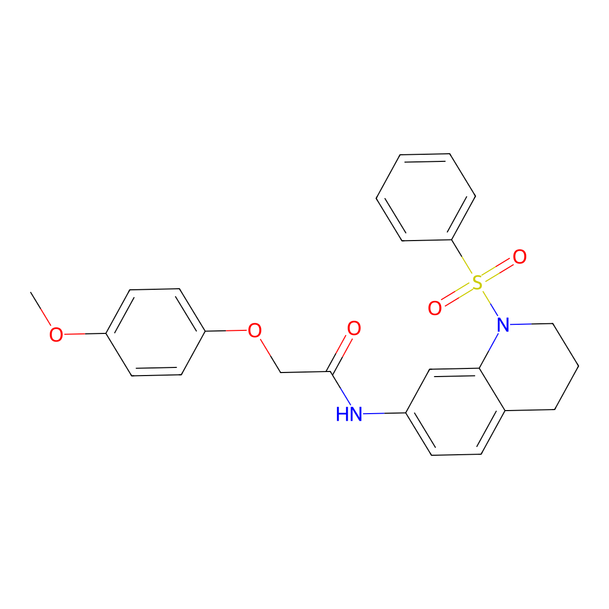 2-(4-methoxyphenoxy)-N-(1-(phenylsulfonyl)-1,2,3,4-tetrahydroquinolin-7-yl)acetamide molecular structure, CAS 1005301-91-6