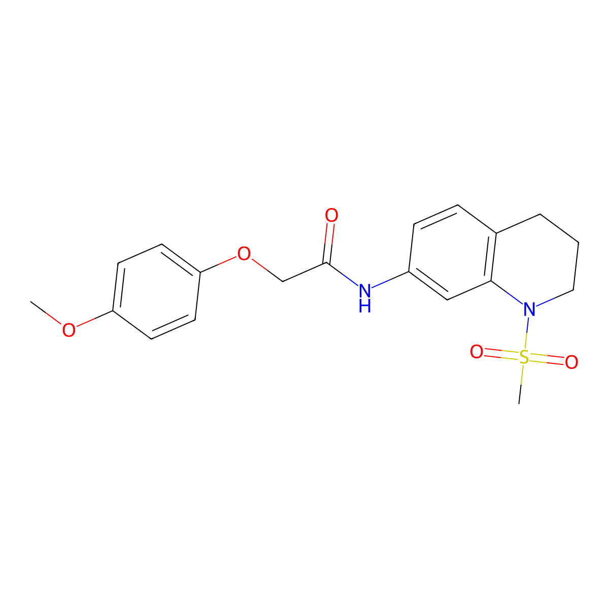 2-(4-methoxyphenoxy)-N-(1-methylsulfonyl-3,4-dihydro-2H-quinolin-7-yl)acetamide molecular structure, CAS 1005302-57-7