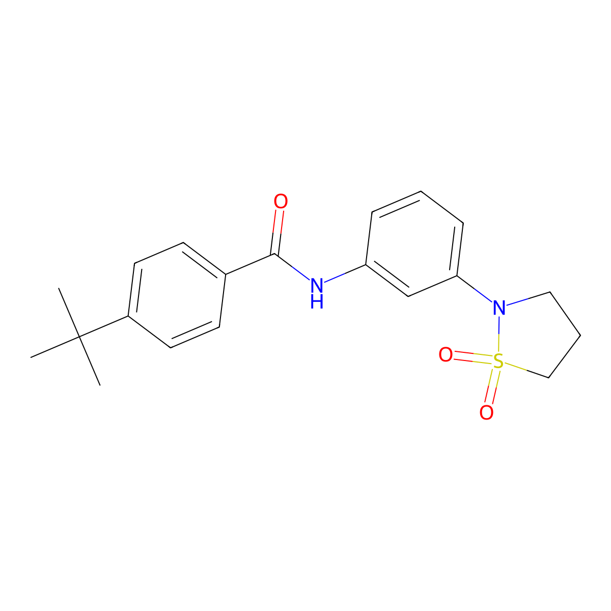 4-tert-butyl-N-[3-(1,1-dioxo-1,2-thiazolidin-2-yl)phenyl]benzamide molecular structure, CAS 1005305-06-5