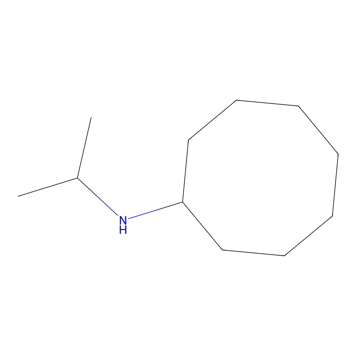 N-(propan-2-yl)cyclooctanamine molecular structure, CAS 100534-98-3