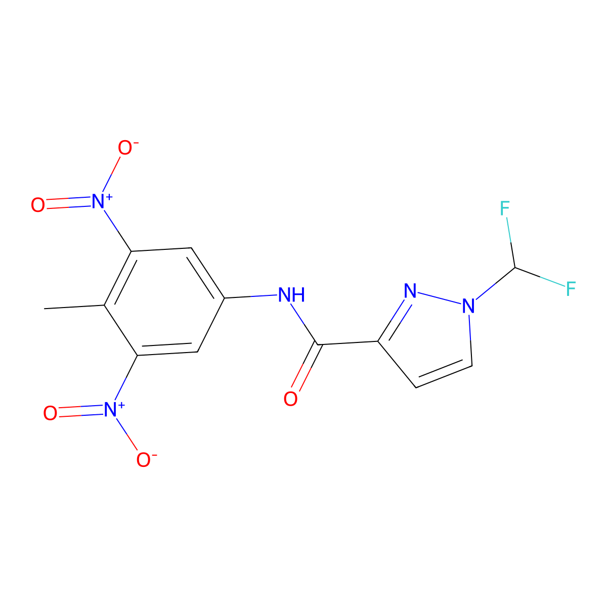 1-(difluoromethyl)-N-(4-methyl-3,5-dinitrophenyl)pyrazole-3-carboxamide molecular structure, CAS 1005594-17-1