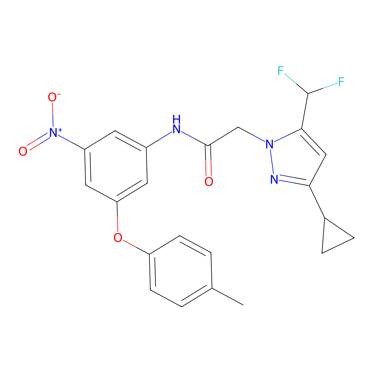 2-[3-cyclopropyl-5-(difluoromethyl)-1H-pyrazol-1-yl]-N-[3-(4-methylphenoxy)-5-nitrophenyl]acetamide molecular structure, CAS 1005618-97-2