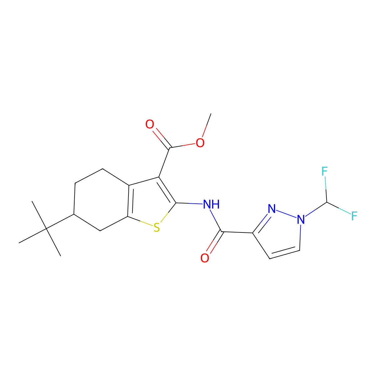methyl 6-tert-butyl-2-({[1-(difluoromethyl)-1H-pyrazol-3-yl]carbonyl}amino)-4,5,6,7-tetrahydro-1-benzothiophene-3-carboxylate molecular structure, CAS 1005639-44-0