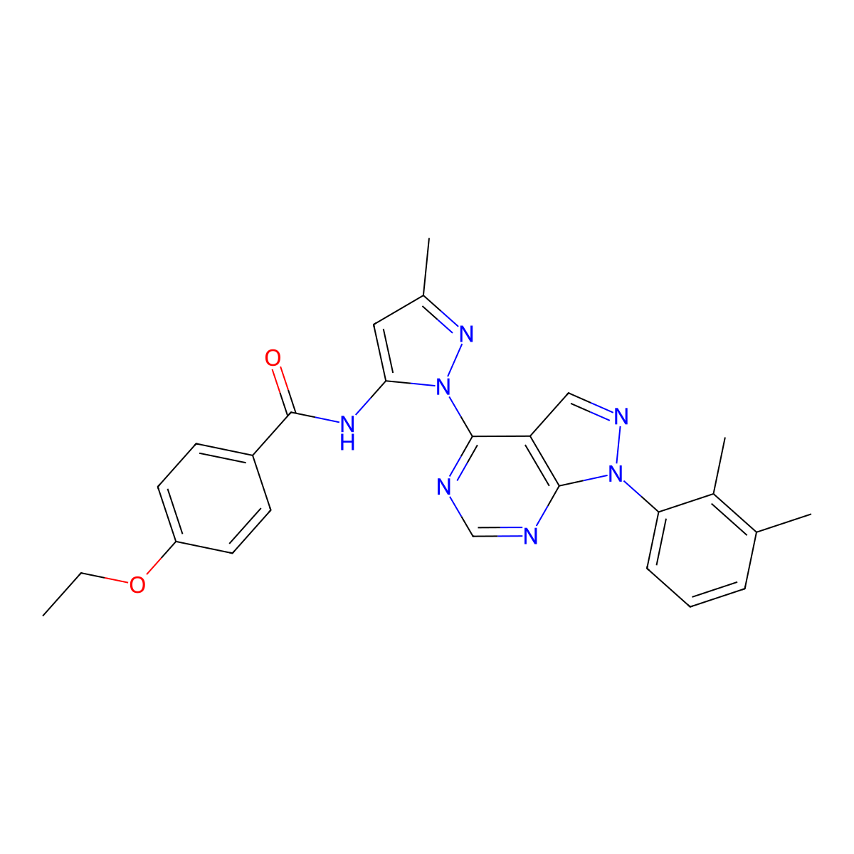 N-{1-[1-(2,3-dimethylphenyl)-1H-pyrazolo[3,4-d]pyrimidin-4-yl]-3-methyl-1H-pyrazol-5-yl}-4-ethoxybenzamide molecular structure, CAS 1005974-18-4
