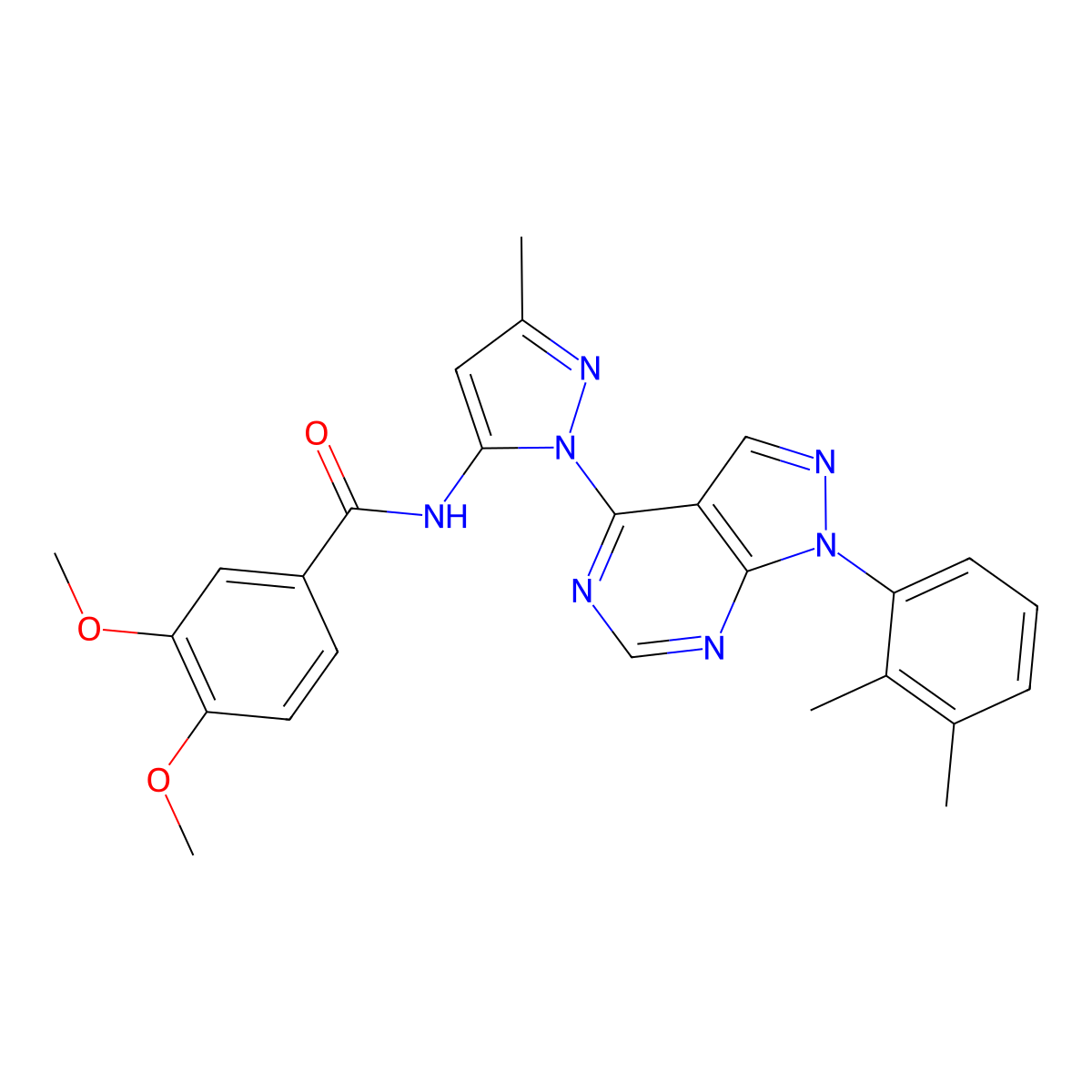 N-{1-[1-(2,3-dimethylphenyl)-1H-pyrazolo[3,4-d]pyrimidin-4-yl]-3-methyl-1H-pyrazol-5-yl}-3,4-dimethoxybenzamide molecular structure, CAS 1005974-25-3