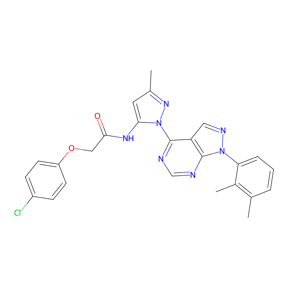 2-(4-chlorophenoxy)-N-{1-[1-(2,3-dimethylphenyl)-1H-pyrazolo[3,4-d]pyrimidin-4-yl]-3-methyl-1H-pyrazol-5-yl}acetamide molecular structure, CAS 1005974-79-7