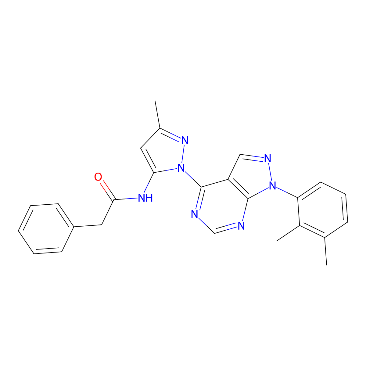 N-(1-(1-(2,3-dimethylphenyl)-1H-pyrazolo[3,4-d]pyrimidin-4-yl)-3-methyl-1H-pyrazol-5-yl)-2-phenylacetamide molecular structure, CAS 1005975-03-0