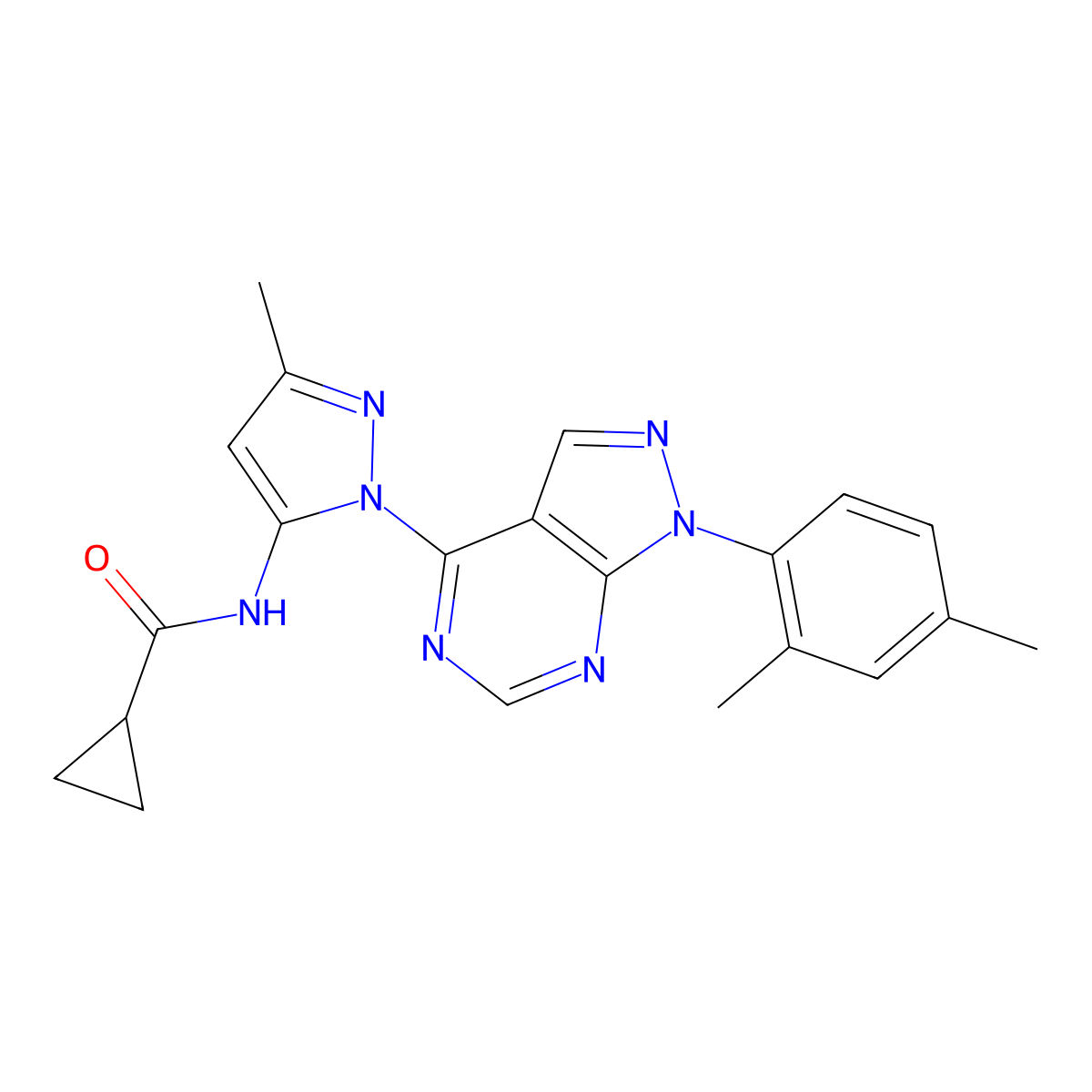 N-(1-(1-(2,4-dimethylphenyl)-1H-pyrazolo[3,4-d]pyrimidin-4-yl)-3-methyl-1H-pyrazol-5-yl)cyclopropanecarboxamide molecular structure, CAS 1005975-70-1