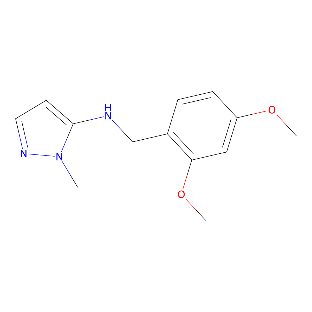 N-(2,4-Dimethoxybenzyl)-1-methyl-1H-pyrazol-5-amine molecular structure, CAS 1006951-93-4