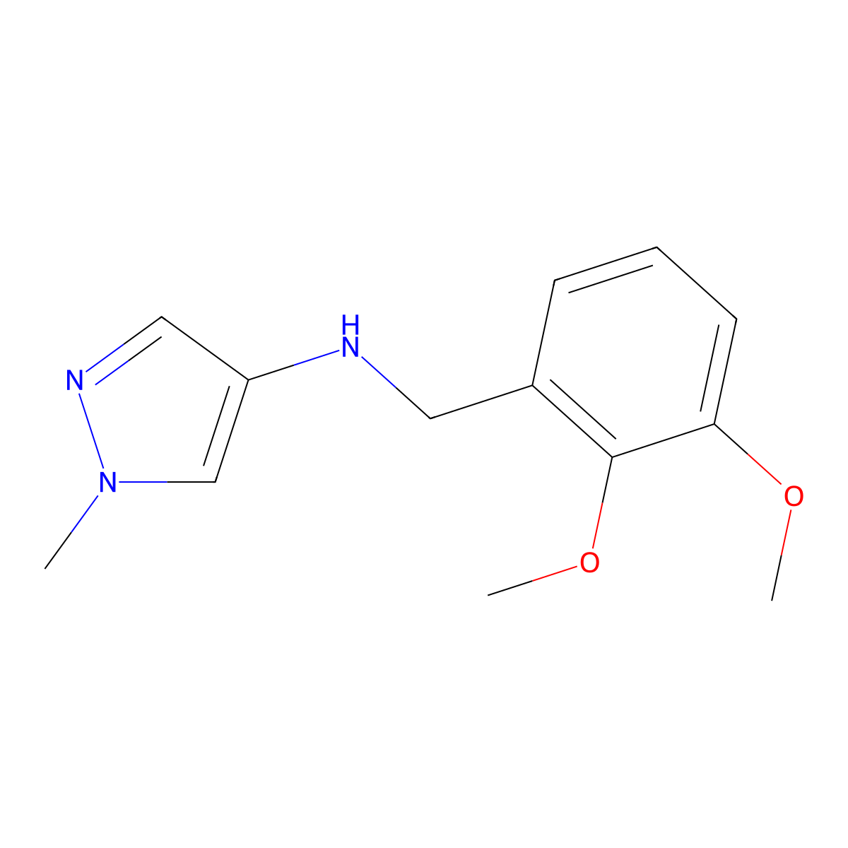 N-(2,3-Dimethoxybenzyl)-1-methyl-1H-pyrazol-4-amine molecular structure, CAS 1006961-87-0