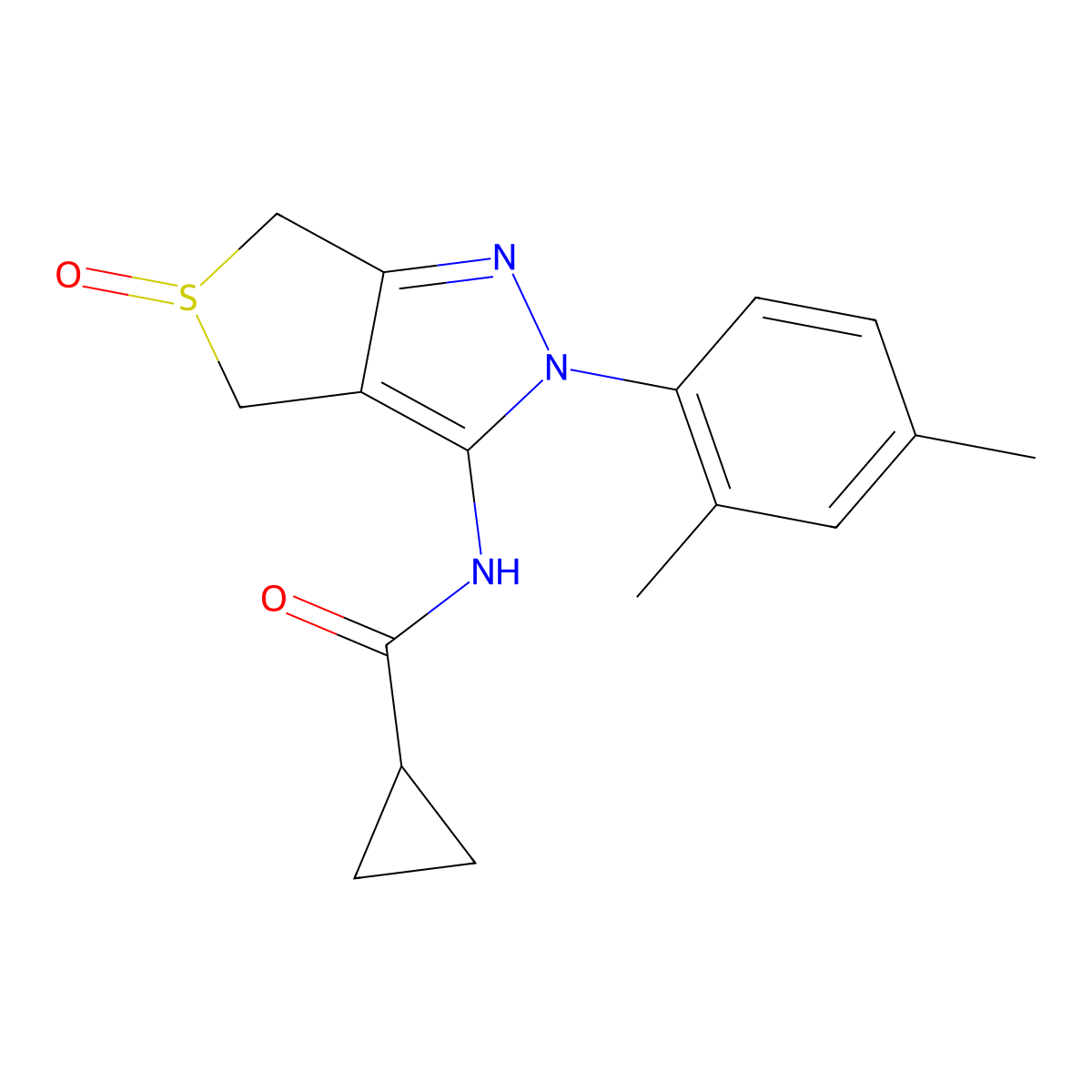 N-(2-(2,4-dimethylphenyl)-5-oxido-4,6-dihydro-2H-thieno[3,4-c]pyrazol-3-yl)cyclopropanecarboxamide molecular structure, CAS 1007194-17-3