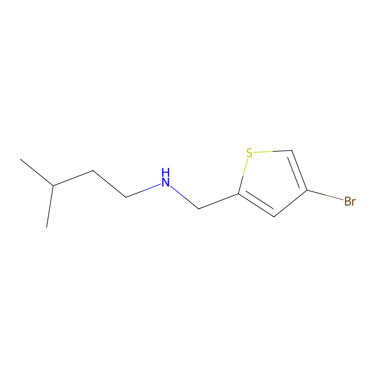 [(4-Bromothiophen-2-yl)methyl](3-methylbutyl)amine molecular structure, CAS 1007579-07-8