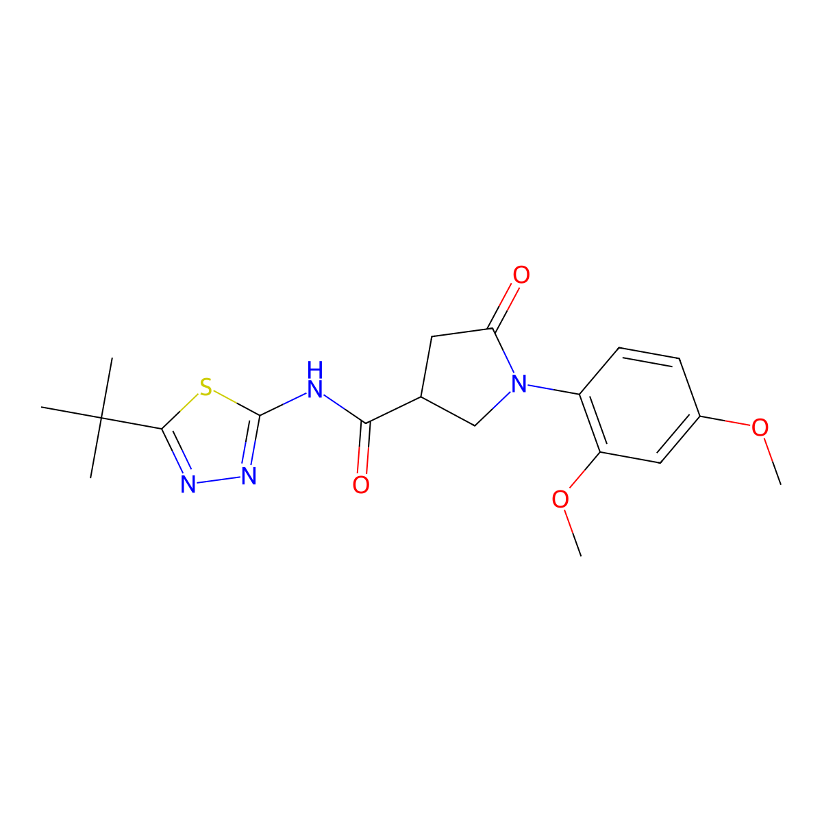 N-[(2E)-5-tert-butyl-1,3,4-thiadiazol-2(3H)-ylidene]-1-(2,4-dimethoxyphenyl)-5-oxopyrrolidine-3-carboxamide molecular structure, CAS 1008241-49-3