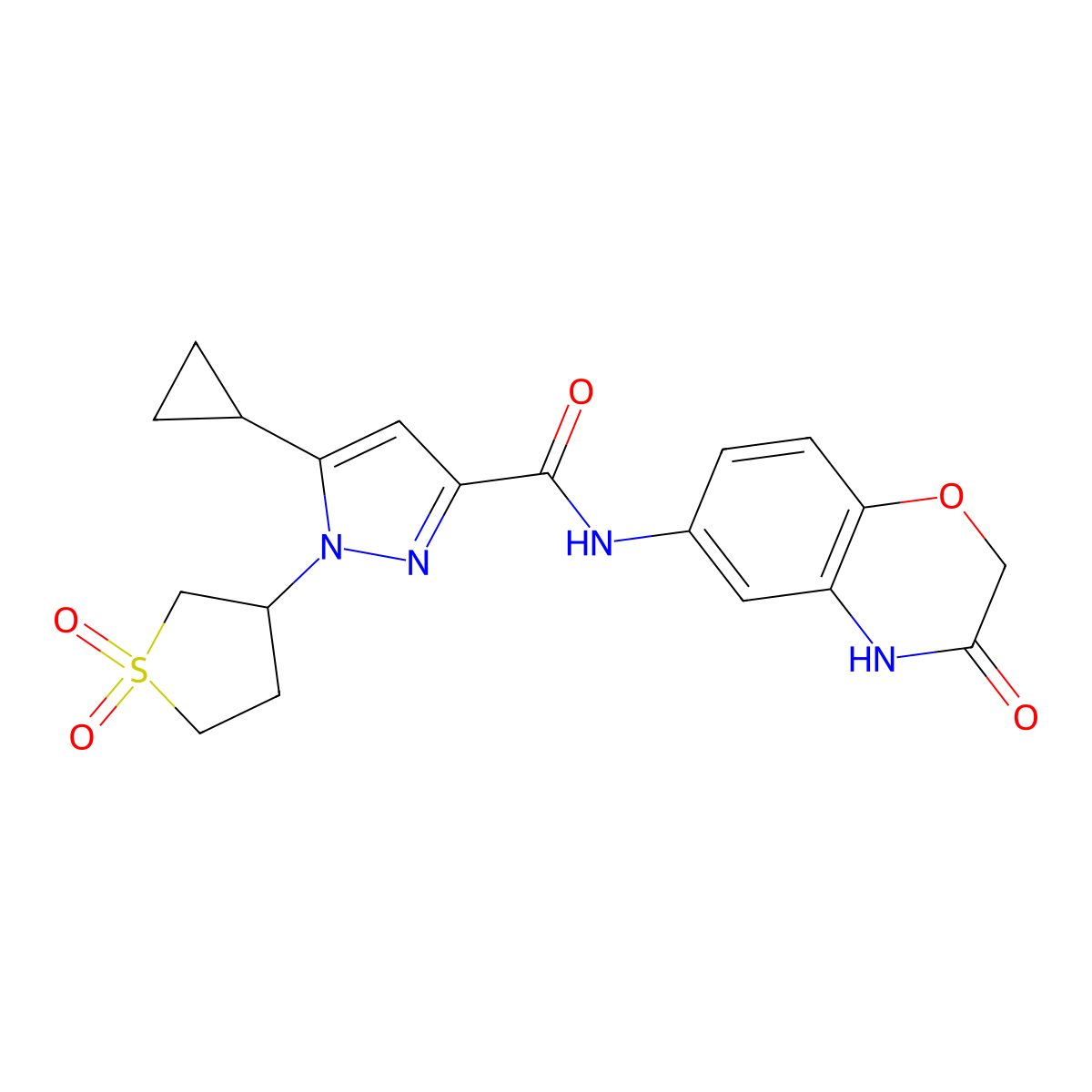 5-cyclopropyl-1-(1,1-dioxo-1lambda6-thiolan-3-yl)-N-(3-oxo-3,4-dihydro-2H-1,4-benzoxazin-6-yl)-1H-pyrazole-3-carboxamide molecular structure, CAS 1008571-25-2