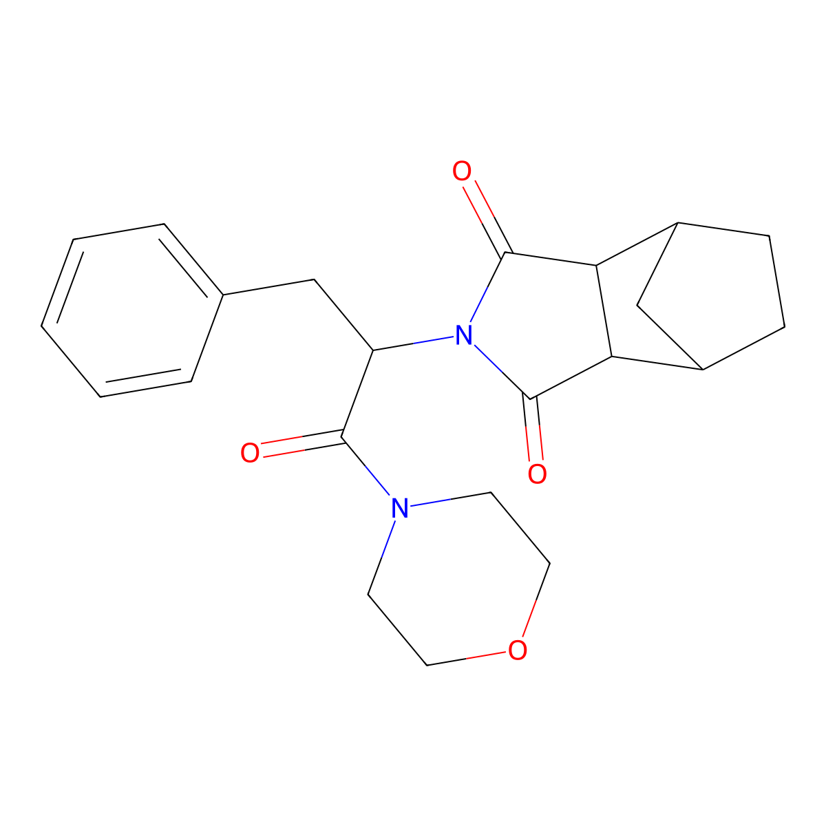 2-[1-(morpholin-4-yl)-1-oxo-3-phenylpropan-2-yl]hexahydro-1H-4,7-methanoisoindole-1,3(2H)-dione molecular structure, CAS 1009278-17-4