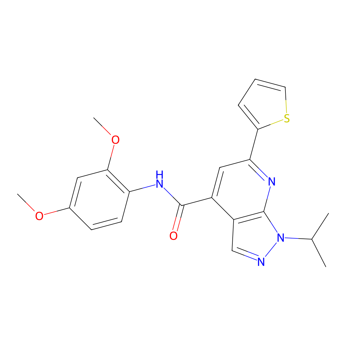 N-(2,4-dimethoxyphenyl)-1-(propan-2-yl)-6-(thiophen-2-yl)-1H-pyrazolo[3,4-b]pyridine-4-carboxamide molecular structure, CAS 1010565-14-6