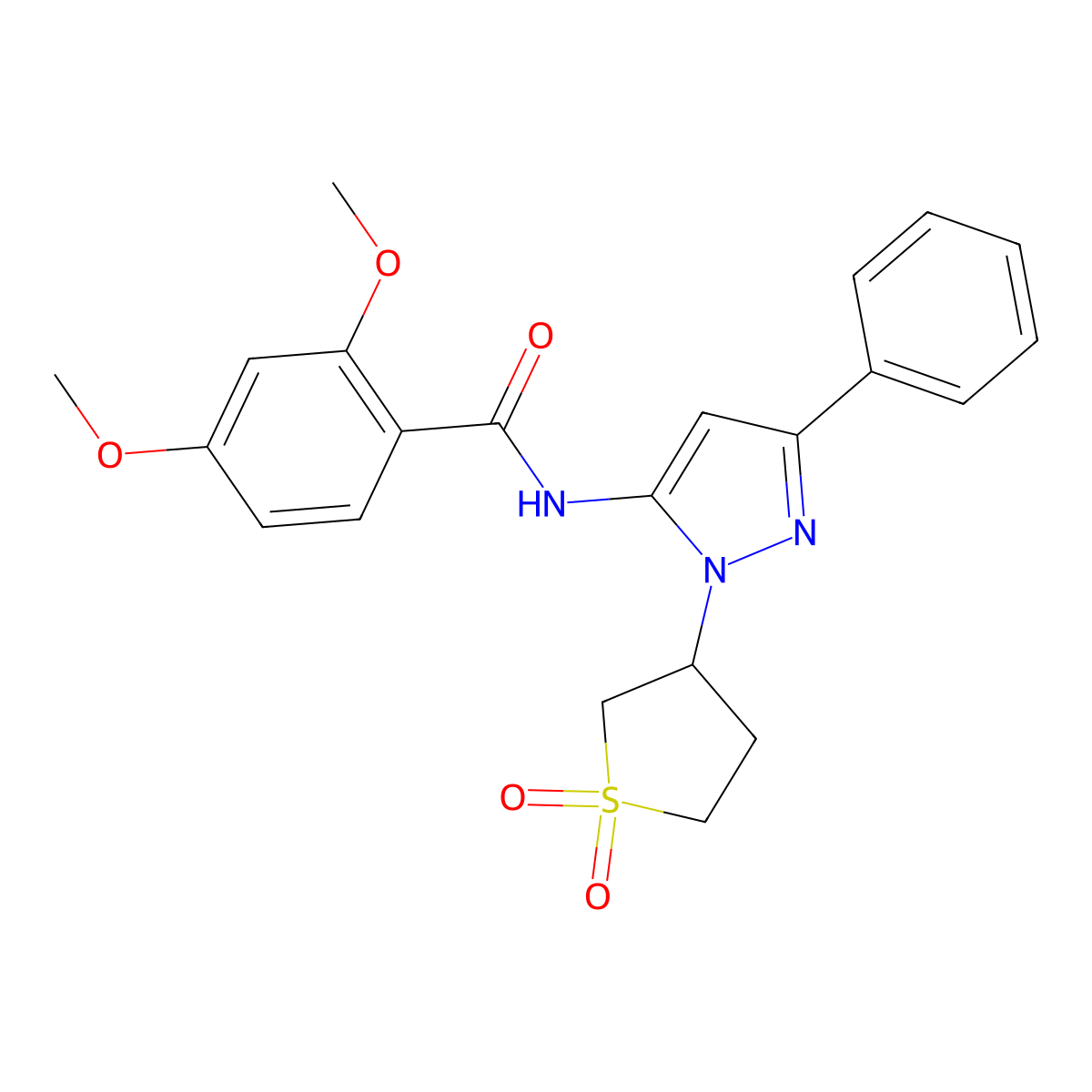 N-(1-(1,1-dioxidotetrahydrothiophen-3-yl)-3-phenyl-1H-pyrazol-5-yl)-2,4-dimethoxybenzamide molecular structure, CAS 1010865-57-2