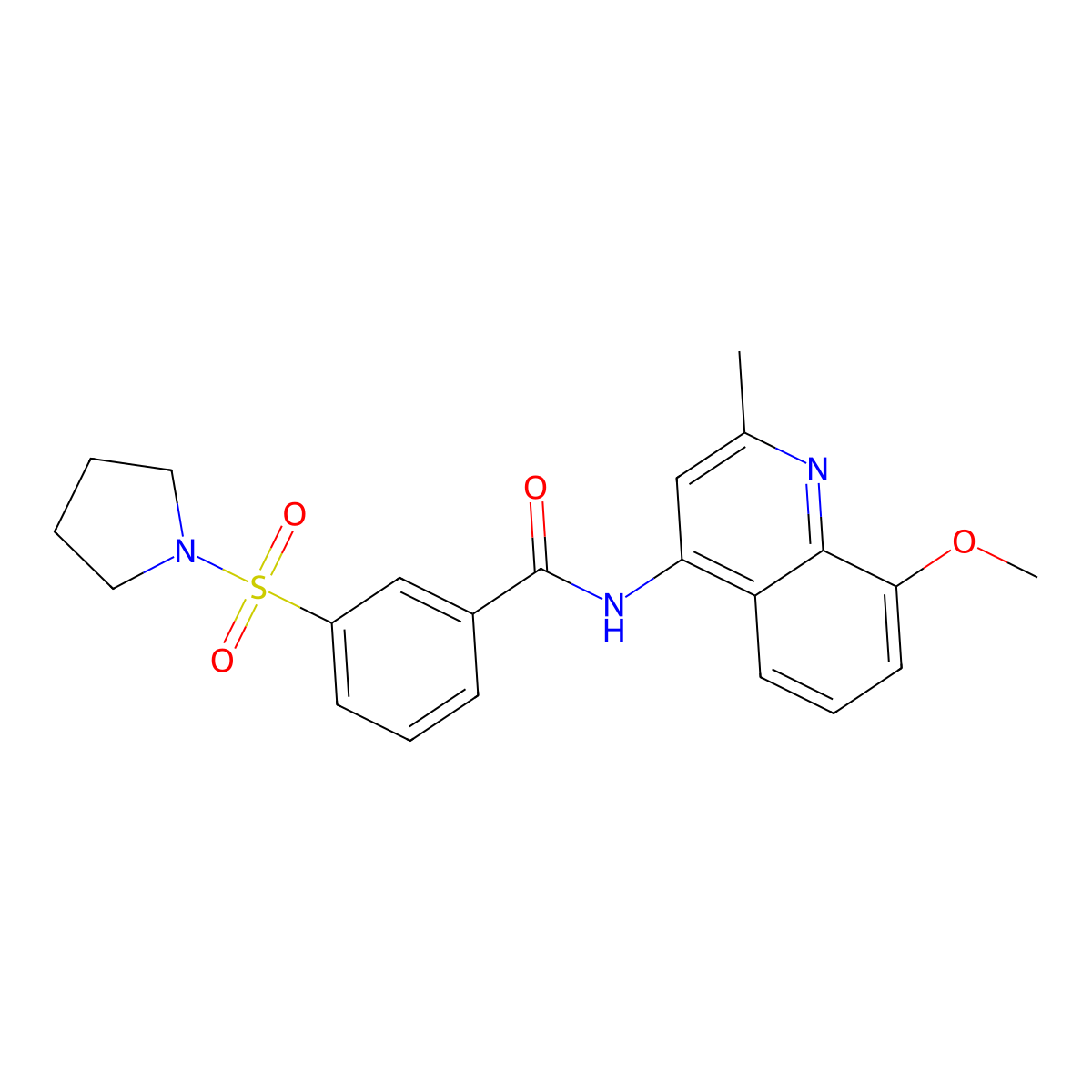 N-(8-methoxy-2-methylquinolin-4-yl)-3-(pyrrolidin-1-ylsulfonyl)benzamide molecular structure, CAS 1010878-73-5