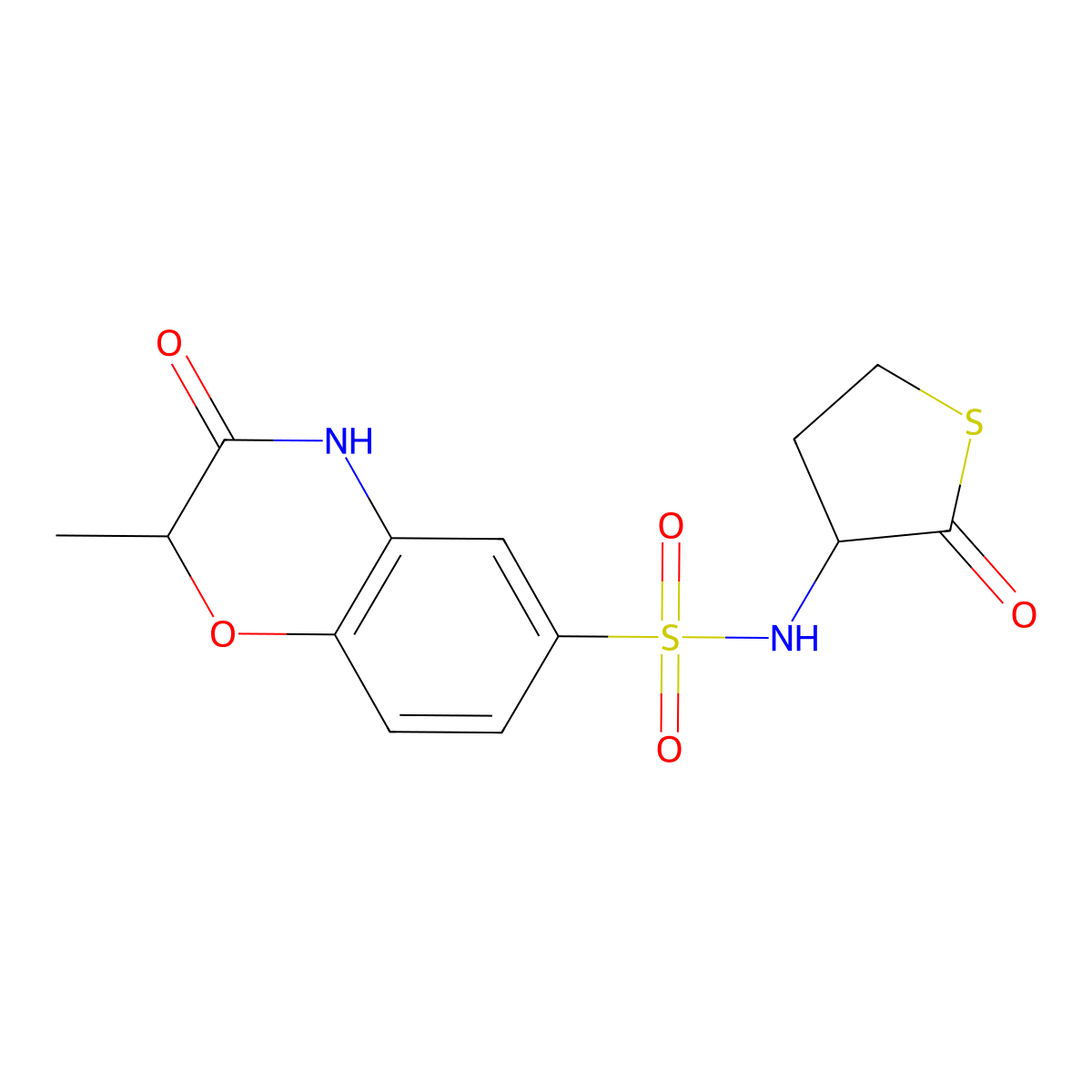 2-methyl-3-oxo-N-(2-oxotetrahydro-3-thienyl)-3,4-dihydro-2H-1,4-benzoxazine-6-sulfonamide molecular structure, CAS 1014005-80-1