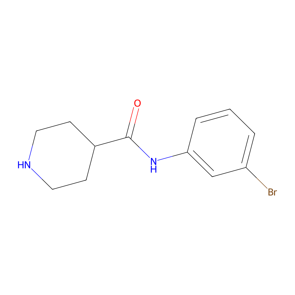 N-(3-bromophenyl)piperidine-4-carboxamide molecular structure, CAS 1016503-28-8