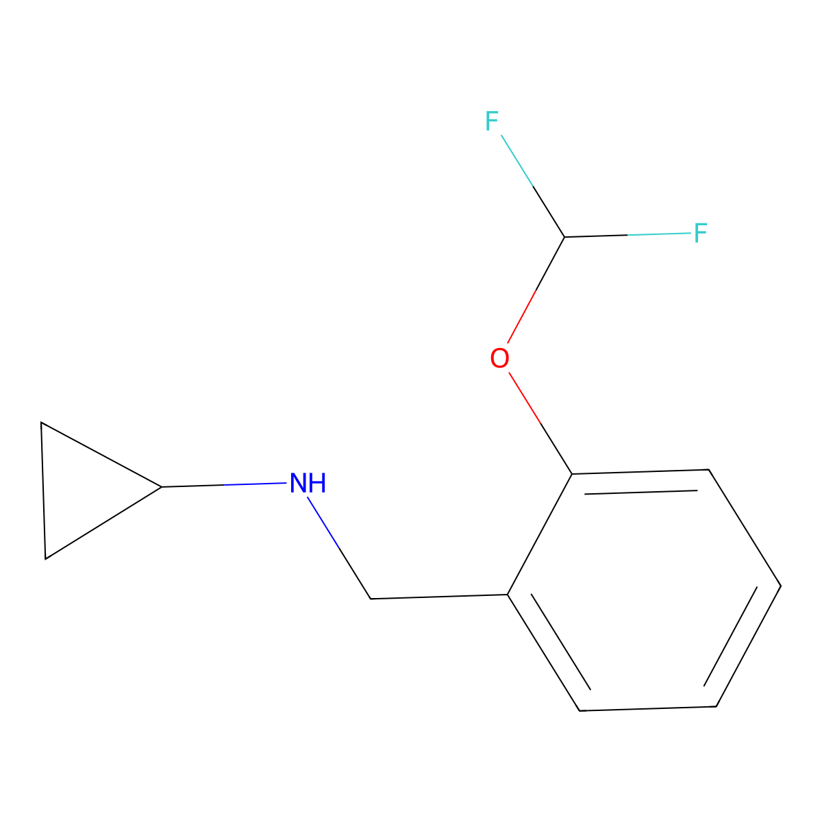 N-{[2-(Difluoromethoxy)phenyl]methyl}cyclopropanamine molecular structure, CAS 1016674-97-7