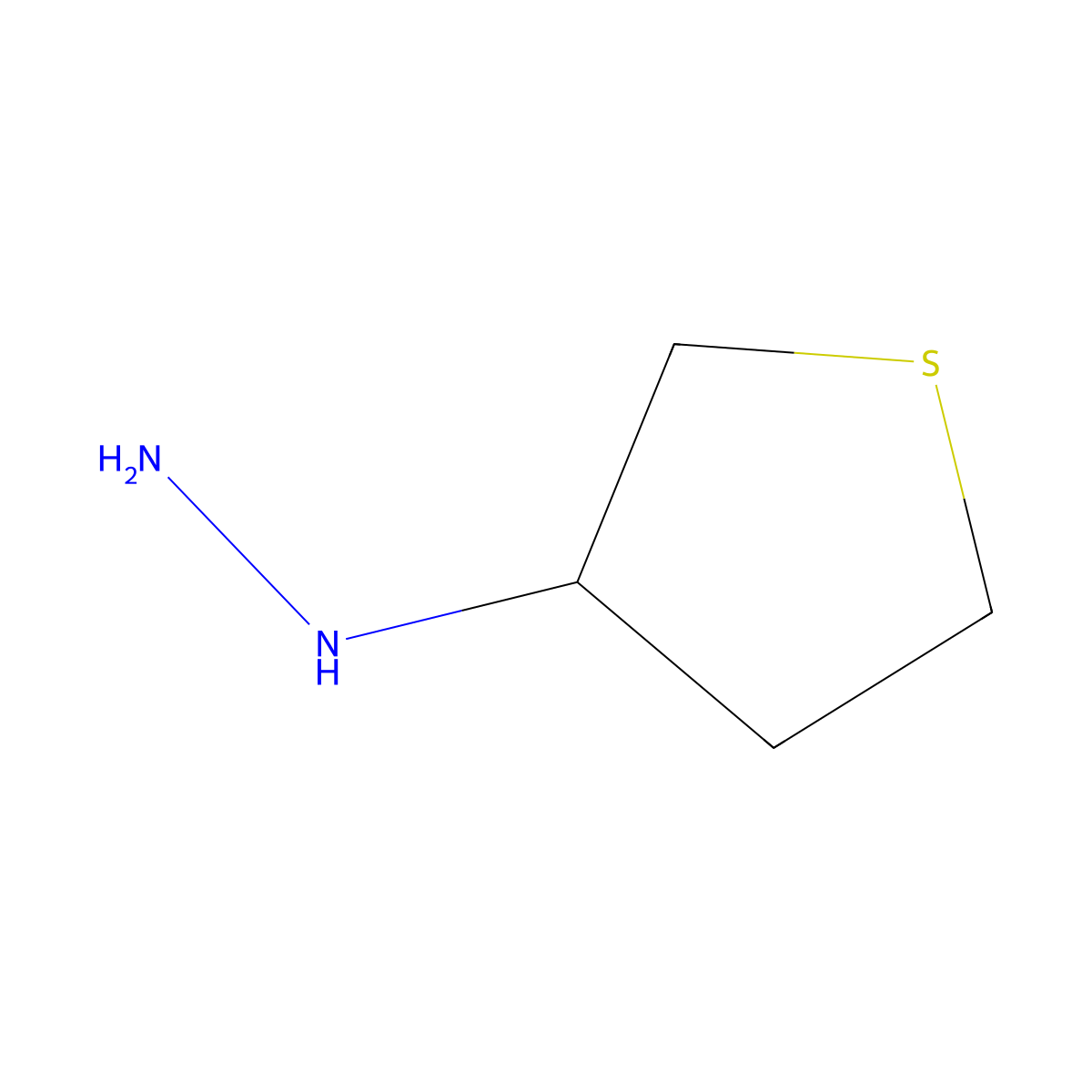 (Thiolan-3-yl)hydrazine molecular structure, CAS 1016709-16-2