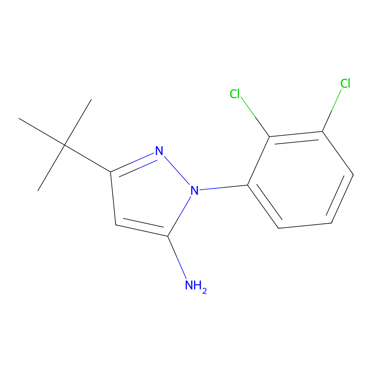 3-(tert-Butyl)-1-(2,3-dichlorophenyl)-1H-pyrazol-5-amine molecular structure, CAS 1017781-16-6