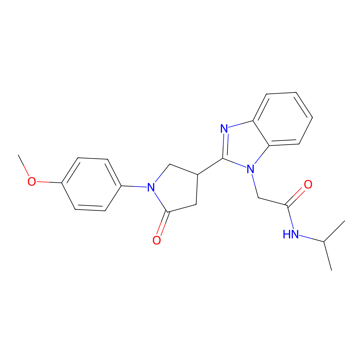 2-{2-[1-(4-methoxyphenyl)-5-oxopyrrolidin-3-yl]benzimidazolyl}-N-(methylethyl) acetamide molecular structure, CAS 1018125-22-8