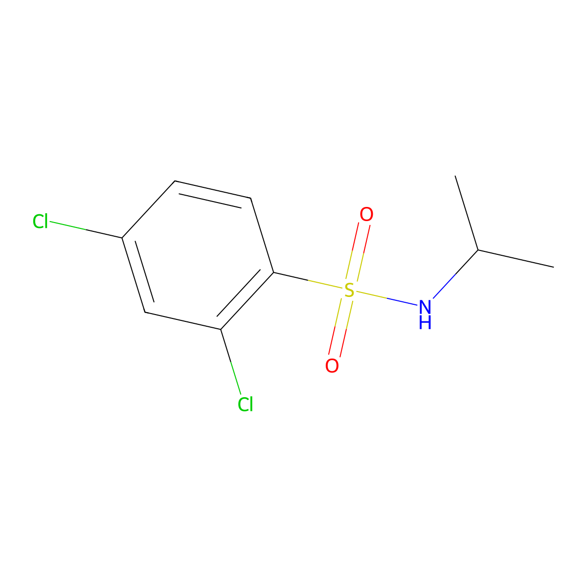 2,4-dichloro-N-isopropylbenzenesulfonamide molecular structure, CAS 1018135-23-3