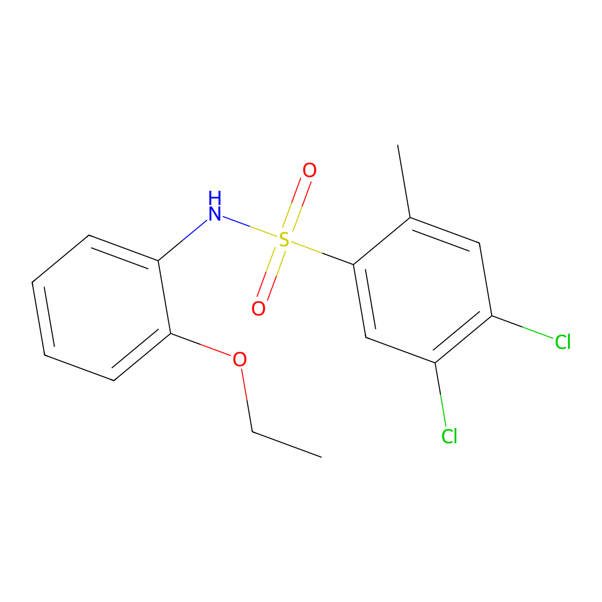 4,5-dichloro-N-(2-ethoxyphenyl)-2-methylbenzene-1-sulfonamide molecular structure, CAS 1018159-32-4