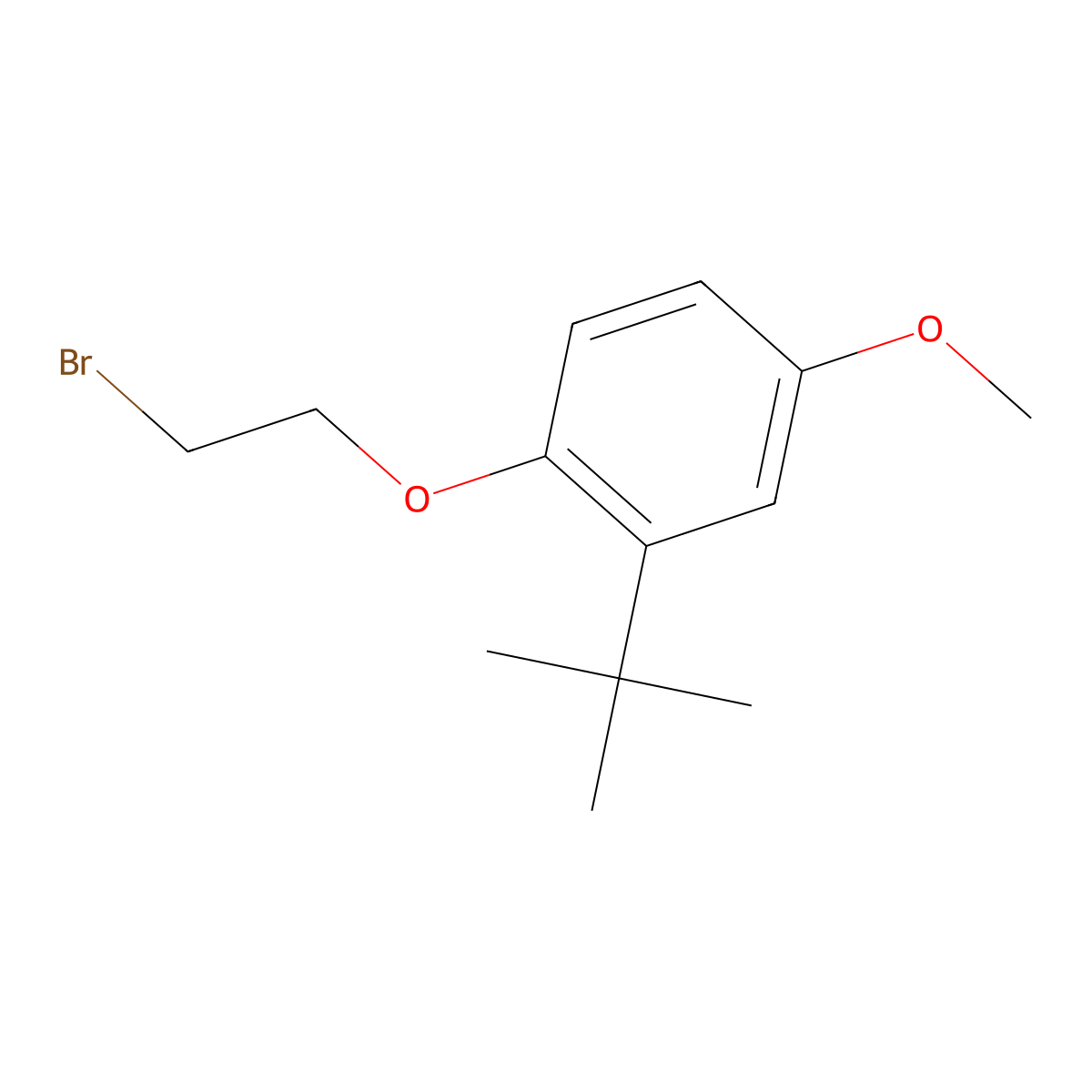 1-(2-Bromoethoxy)-2-(1,1-dimethylethyl)-4-methoxybenzene molecular structure, CAS 1019384-57-6