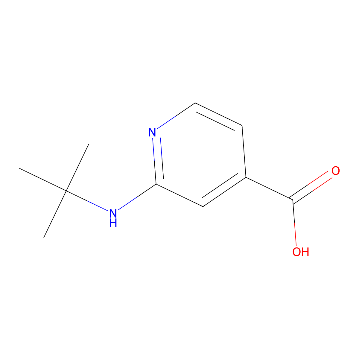 2-(Tert-butylamino)isonicotinic acid molecular structure, CAS 1019387-62-2