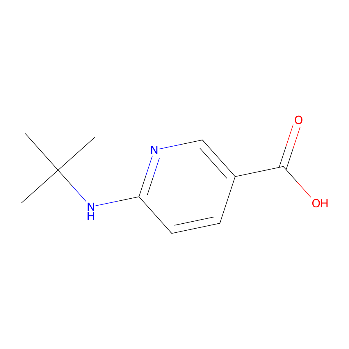 6-(tert-Butylamino)nicotinic acid molecular structure, CAS 1019387-69-9