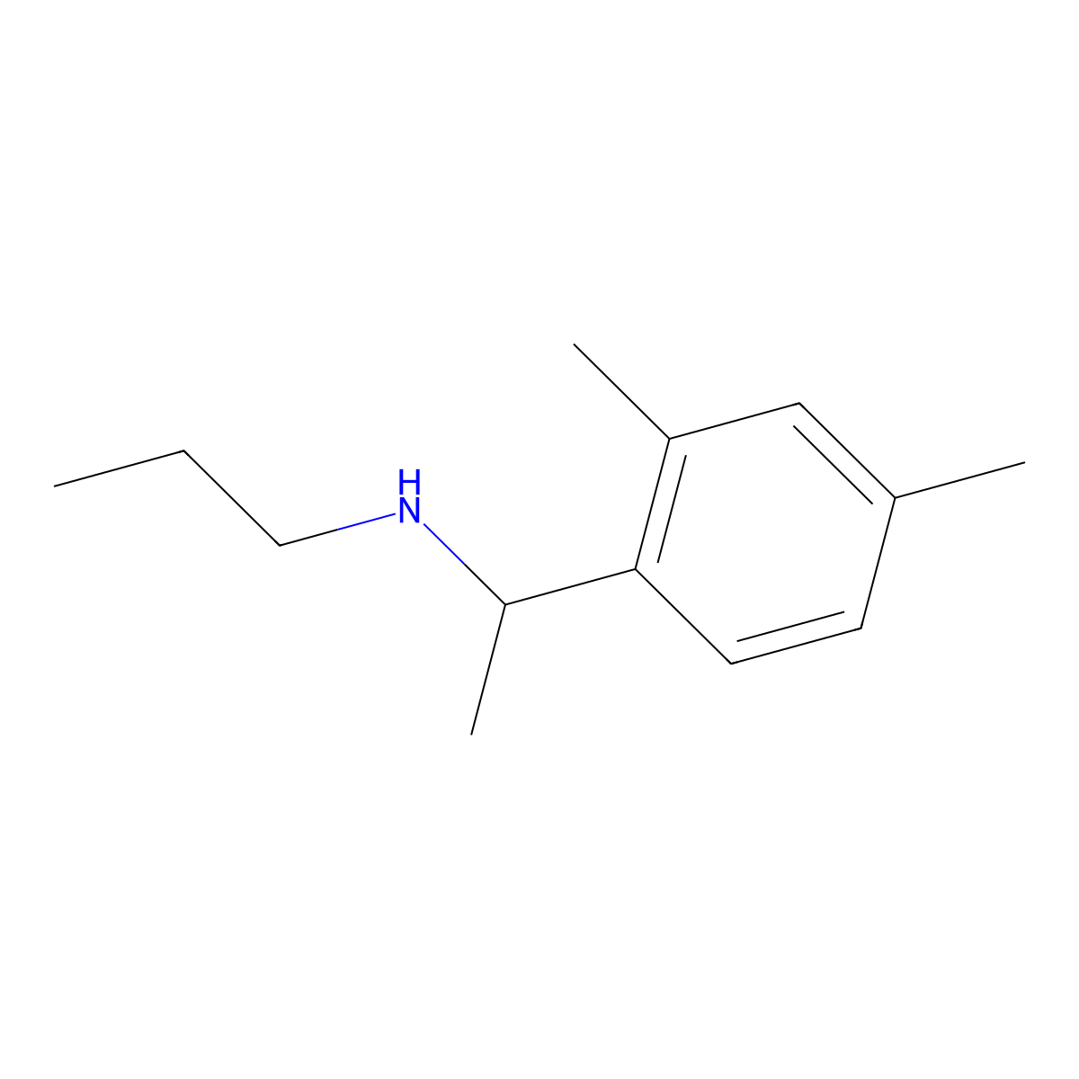 [1-(2,4-Dimethylphenyl)ethyl](propyl)amine molecular structure, CAS 1019449-56-9
