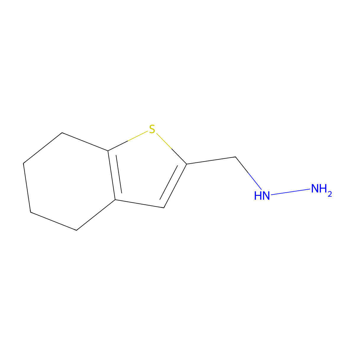((4,5,6,7-Tetrahydrobenzo[b]thiophen-2-yl)methyl)hydrazine molecular structure, CAS 1019450-59-9