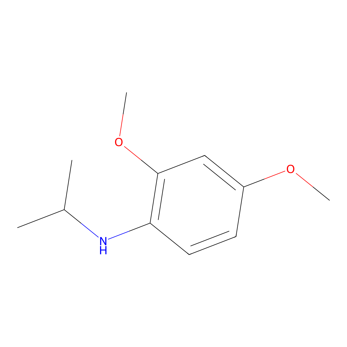 2,4-dimethoxy-N-(propan-2-yl)aniline molecular structure, CAS 1019474-91-9